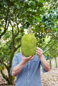 2016-thailand-jackfruit-farm-25-hr-web