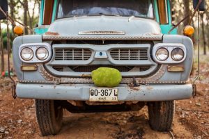 2016-thailand-jackfruit-farm-54-hr-web