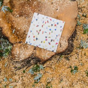 five-buck-vinyl