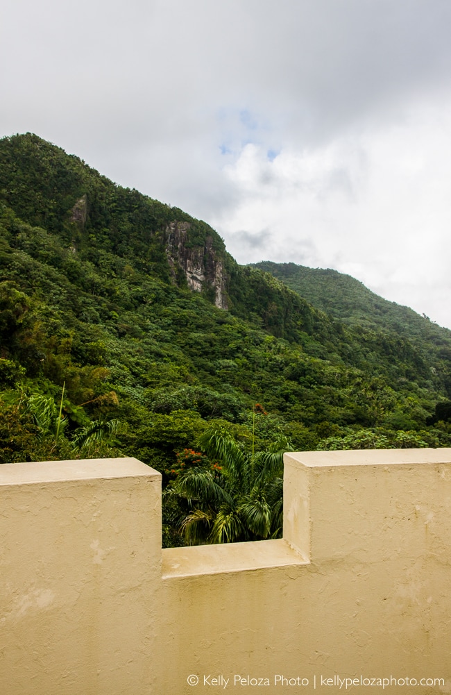 El Yunque National Forest, Puerto Rico | observation tower